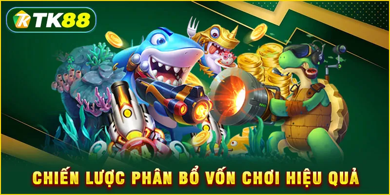 Chiến lược phân bổ vốn chơi hiệu quả